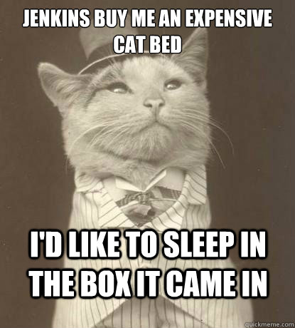 Jenkins buy me an expensive cat bed I'd like to sleep in the box it came in - Jenkins buy me an expensive cat bed I'd like to sleep in the box it came in  Aristocat