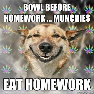 Bowl before homework ... munchies eat homework  Stoner Dog
