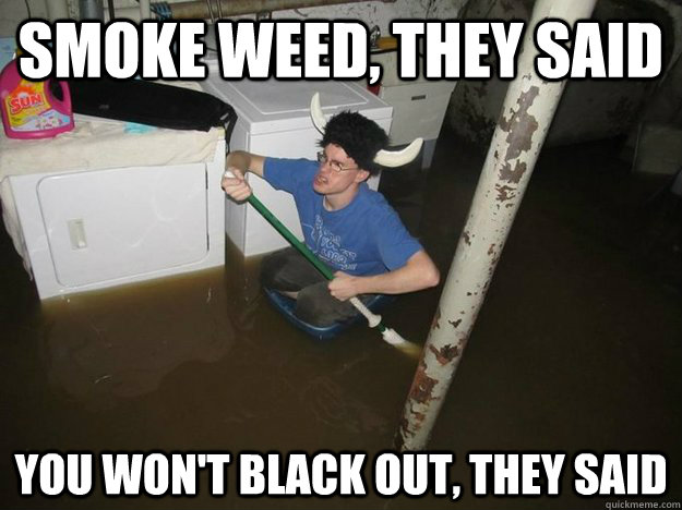 Smoke weed, they said you won't black out, they said  Laundry Room Viking