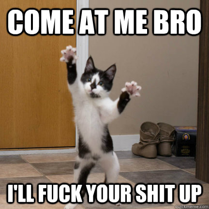 Come at me bro I'll fuck your shit up  