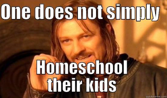 ONE DOES NOT SIMPLY   HOMESCHOOL THEIR KIDS Boromir