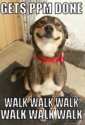 GETS PPM DONE  WALK WALK WALK WALK WALK WALK Good Dog Greg