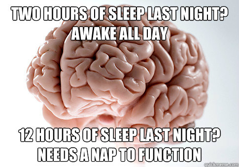 TWO HOURS OF SLEEP LAST NIGHT? AWAKE ALL DAY 12 HOURS OF SLEEP LAST NIGHT? NEEDS A NAP TO FUNCTION   Scumbag Brain