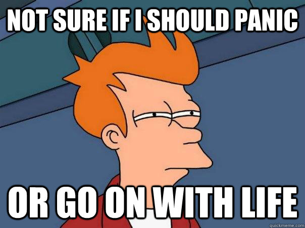 Not sure if i should panic Or go on with life - Not sure if i should panic Or go on with life  Futurama Fry
