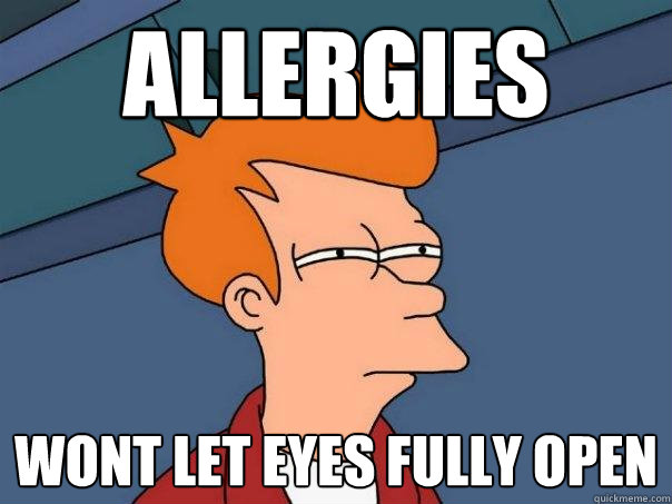 allergies wont let eyes fully open  Futurama Fry