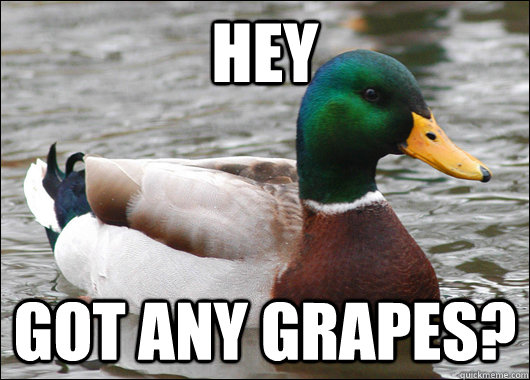 Hey got any grapes?  Actual Advice Mallard