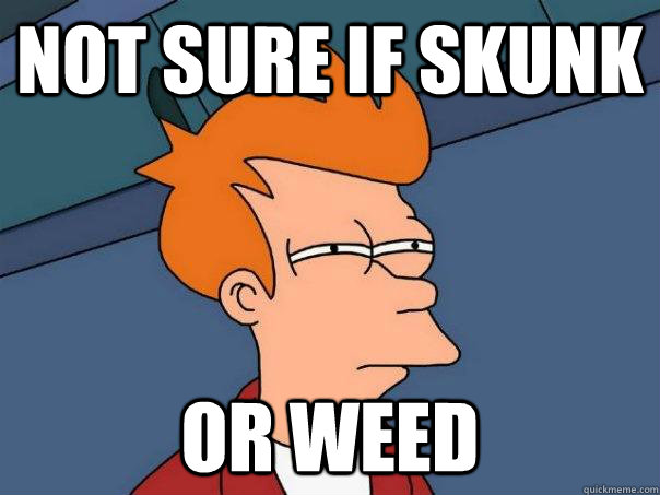not sure if skunk or weed - not sure if skunk or weed  Futurama Fry