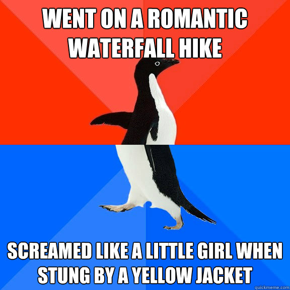Went on a romantic waterfall hike Screamed like a little girl when stung by a yellow jacket  Socially Awesome Awkward Penguin