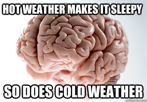 HOT WEATHER MAKES IT SLEEPY SO DOES COLD WEATHER   Scumbag Brain