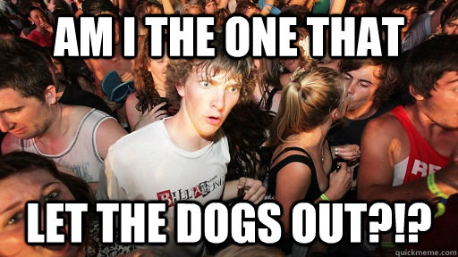 Am I the one that let the dogs out?!?  Sudden Clarity Clarence
