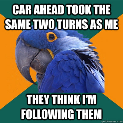 car ahead took the same two turns as me they think i'm following them  Paranoid Parrot