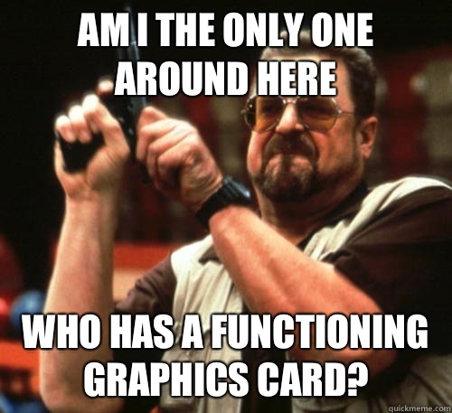 Am i the only one around here Who has a functioning graphics card?  Am I The Only One Around Here