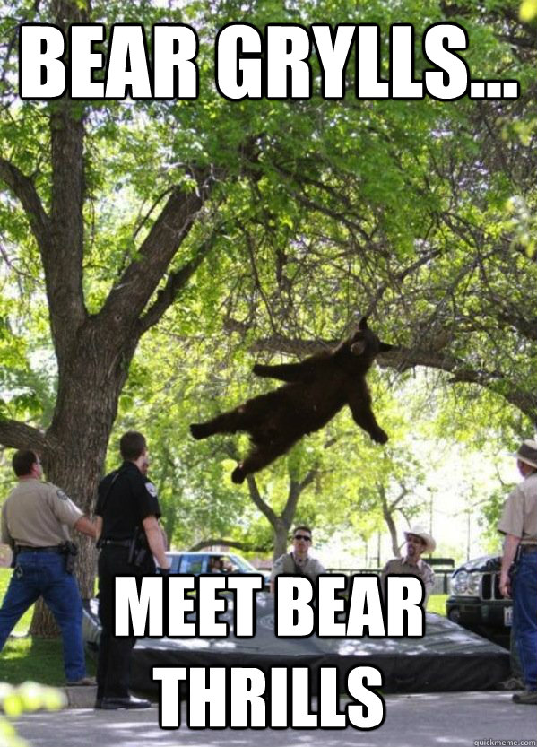 Bear Grylls... Meet Bear Thrills - Bear Grylls... Meet Bear Thrills  Misc