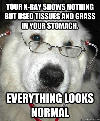 Your X-Ray shows nothing but used tissues and grass in your stomach. Everything looks normal - Your X-Ray shows nothing but used tissues and grass in your stomach. Everything looks normal  Dr. Dog