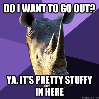 Do i want to go out? ya, it's pretty stuffy in here  Sexually Oblivious Rhino