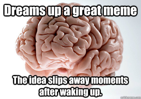 Dreams up a great meme The idea slips away moments after waking up.   Scumbag Brain