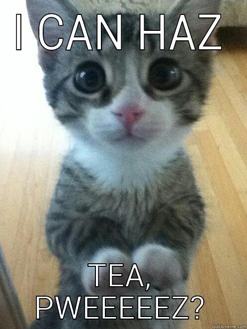 I CAN HAZ TEA, PWEEEEEZ? First World Problems