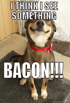 I THINK I SEE SOMETHING BACON!!! Good Dog Greg