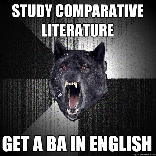 study comparative literature get a ba in english  Insanity Wolf