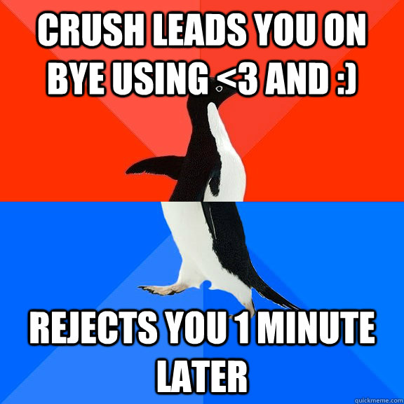 crush leads you on bye using <3 and :) rejects you 1 minute later  Socially Awesome Awkward Penguin