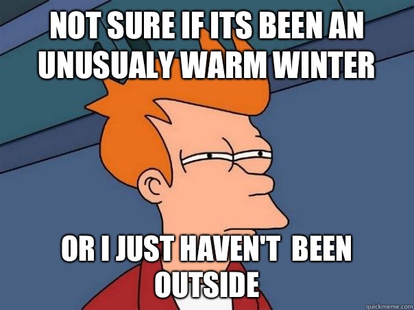Not sure if its been an unusualy warm winter Or I just haven't  been outside  Futurama Fry