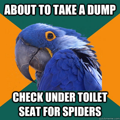about to take a dump check under toilet seat for spiders  Paranoid Parrot