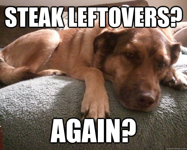 steak leftovers? again? - steak leftovers? again?  First World Dog problems