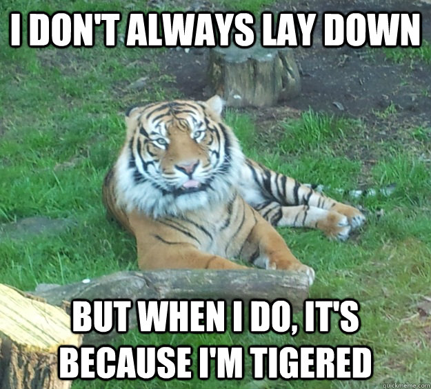 I don't always lay down But when i do, it's because i'm tigered - I don't always lay down But when i do, it's because i'm tigered  Misc