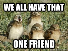 we all have that one friend - we all have that one friend  OWL snap