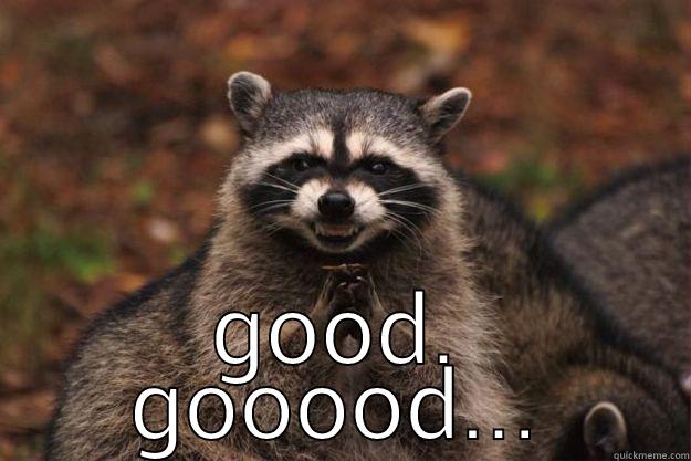  GOOD. GOOOOD... Evil Plotting Raccoon