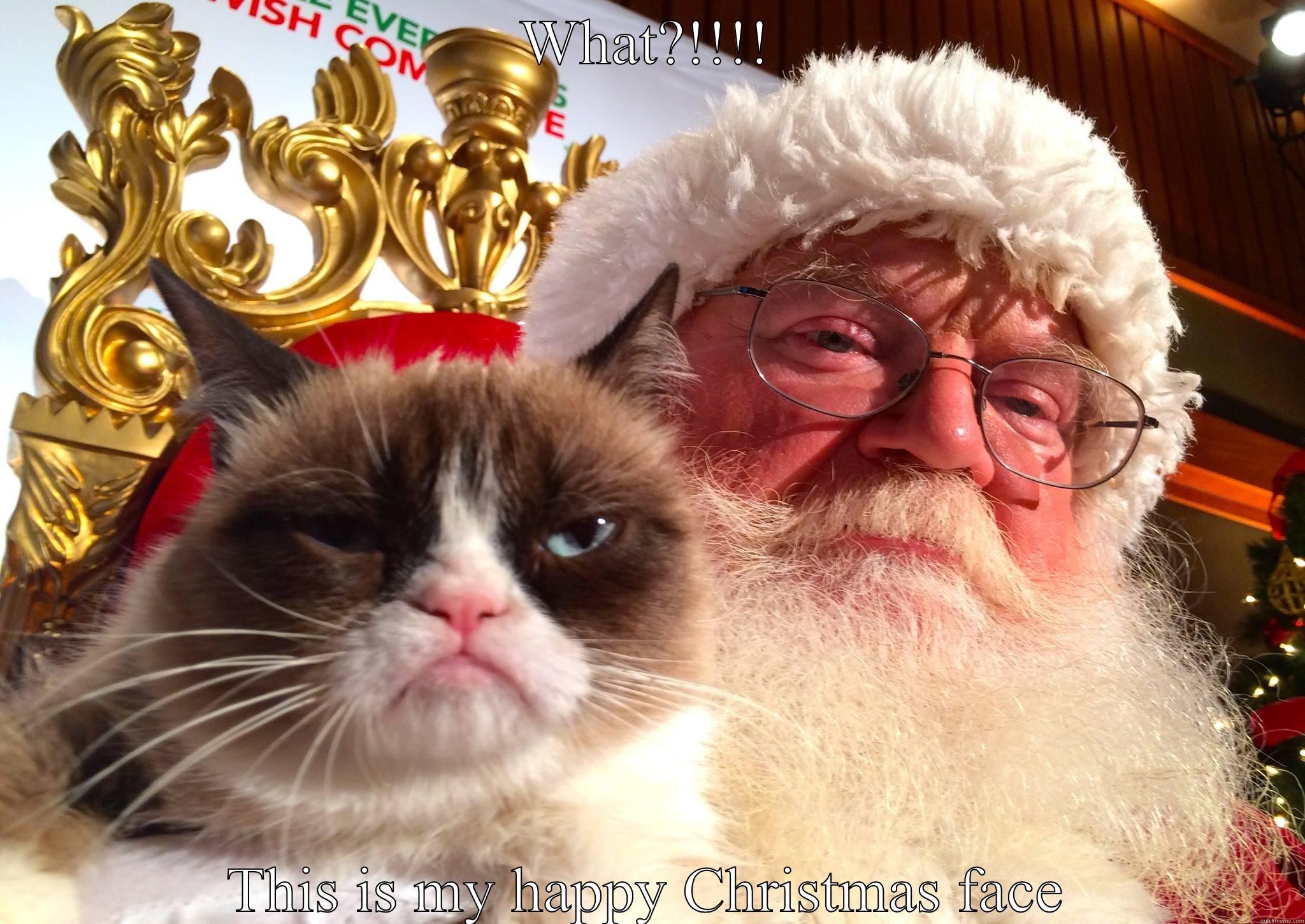 Grumpy cat and Santa - WHAT?!!!! THIS IS MY HAPPY CHRISTMAS FACE Misc