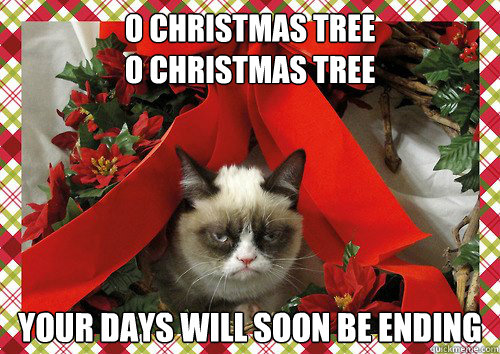 o christmas tree 
o christmas tree  your days will soon be ending   A Grumpy Cat Christmas