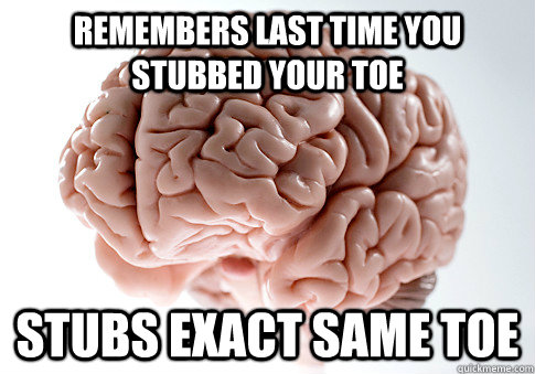 REMEMBERS LAST TIME YOU STUBBED YOUR TOE STUBS EXACT SAME TOE  Scumbag Brain