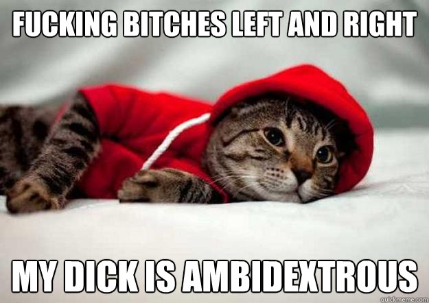 Fucking bitches left and right my dick is ambidextrous  - Fucking bitches left and right my dick is ambidextrous   NerdcoreKitty