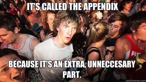 It's called the appendix because it's an extra, unneccesary part. - It's called the appendix because it's an extra, unneccesary part.  Sudden Clarity Clarence
