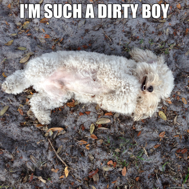 I'M SUCH A DIRTY BOY  - I'M SUCH A DIRTY BOY   dirty boy
