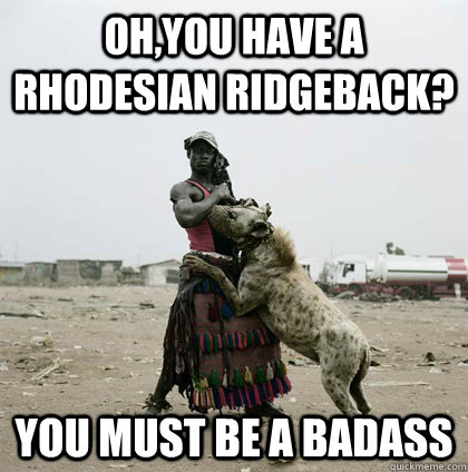 oh,you have a Rhodesian Ridgeback? you must be a badass - oh,you have a Rhodesian Ridgeback? you must be a badass  Hyena Man