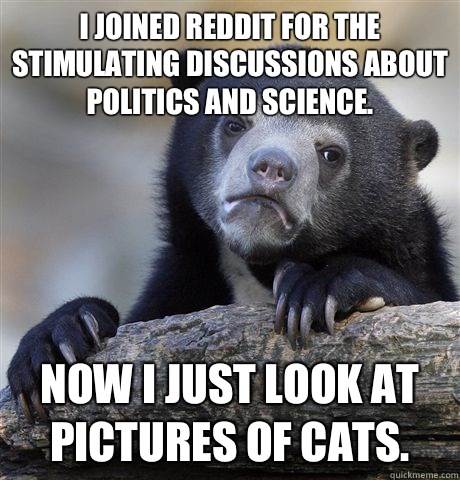 I joined reddit for the stimulating discussions about politics and science. Now I just look at pictures of cats.  Confession Bear