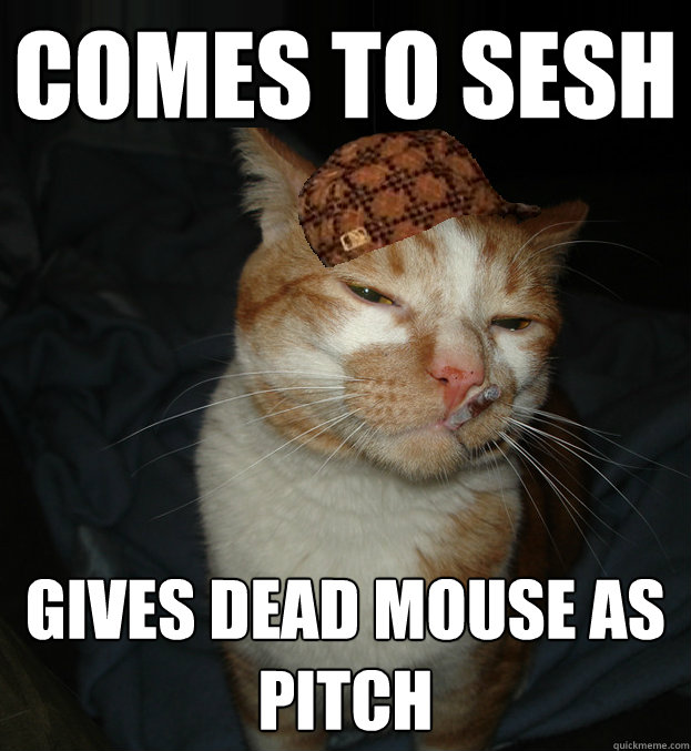 comes to sesh gives dead mouse as pitch  