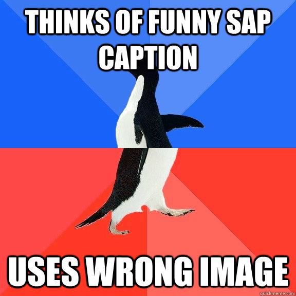 Thinks of funny SAP caption uses wrong image - Thinks of funny SAP caption uses wrong image  Socially Awkward Awesome Penguin