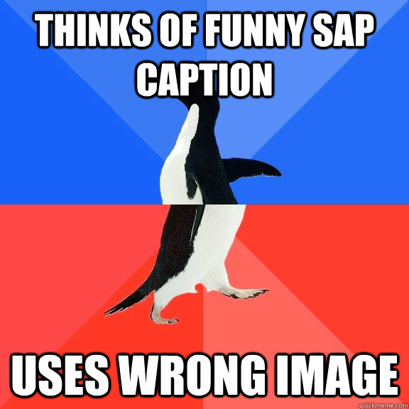 Thinks of funny SAP caption uses wrong image  Socially Awkward Awesome Penguin