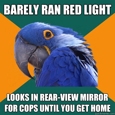 barely ran red light looks in rear-view mirror for cops until you get home - barely ran red light looks in rear-view mirror for cops until you get home  Paranoid Parrot