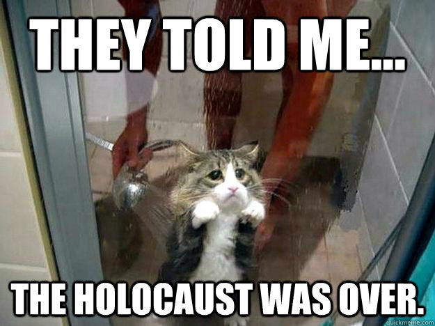 THEY TOLD ME... THE HOLOCAUST WAS OVER.  Shower kitty