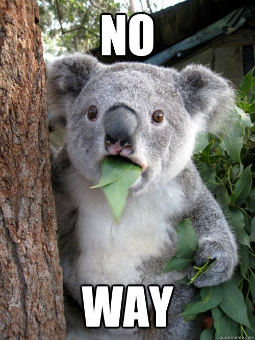 no way  Surprised Koala