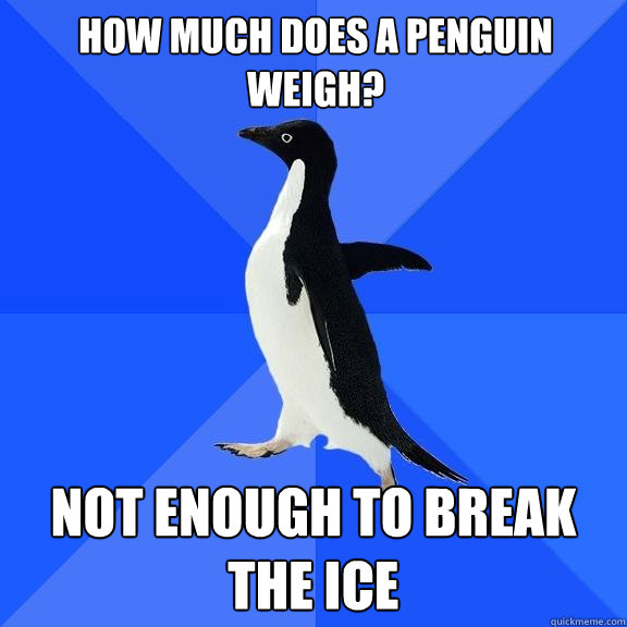 how much does a penguin weigh? not enough to break the ice  Socially Awkward Penguin