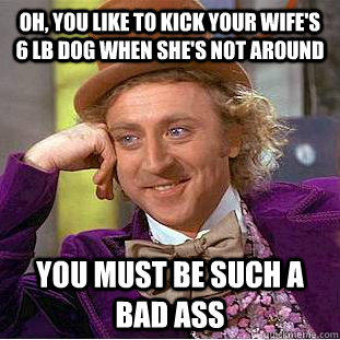 Oh, you like to kick your wife's 6 lb dog when she's not around You must be such a bad ass  Condescending Wonka