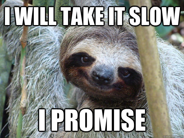 I will take it slow I promise - I will take it slow I promise  Pickup-Line-Sloth