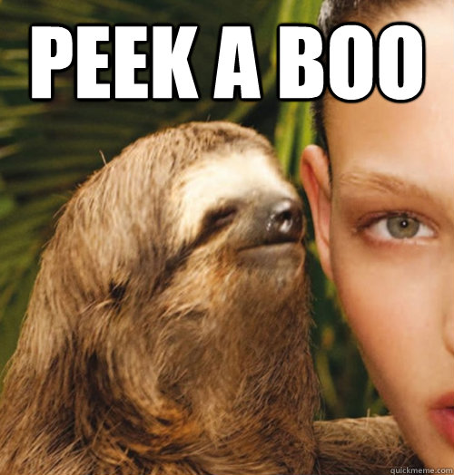 Peek a boo    Whispering Sloth