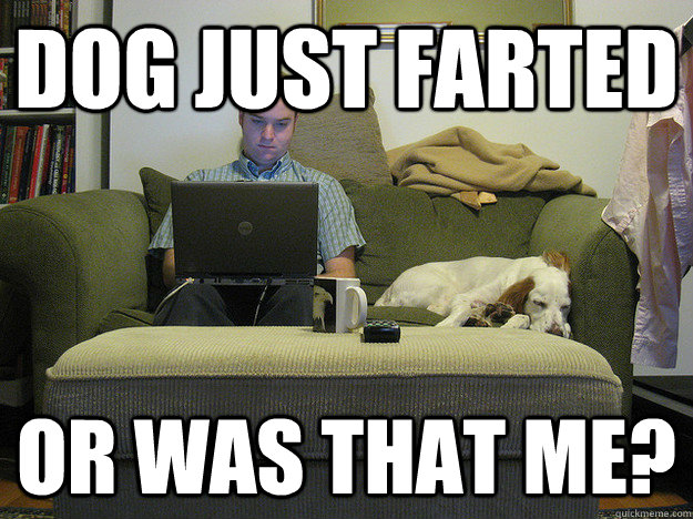 Dog just farted or was that me? - Dog just farted or was that me?  Freelancer Fred