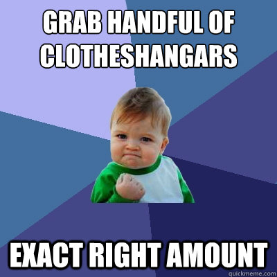 Grab handful of clotheshangars Exact right amount  Success Kid